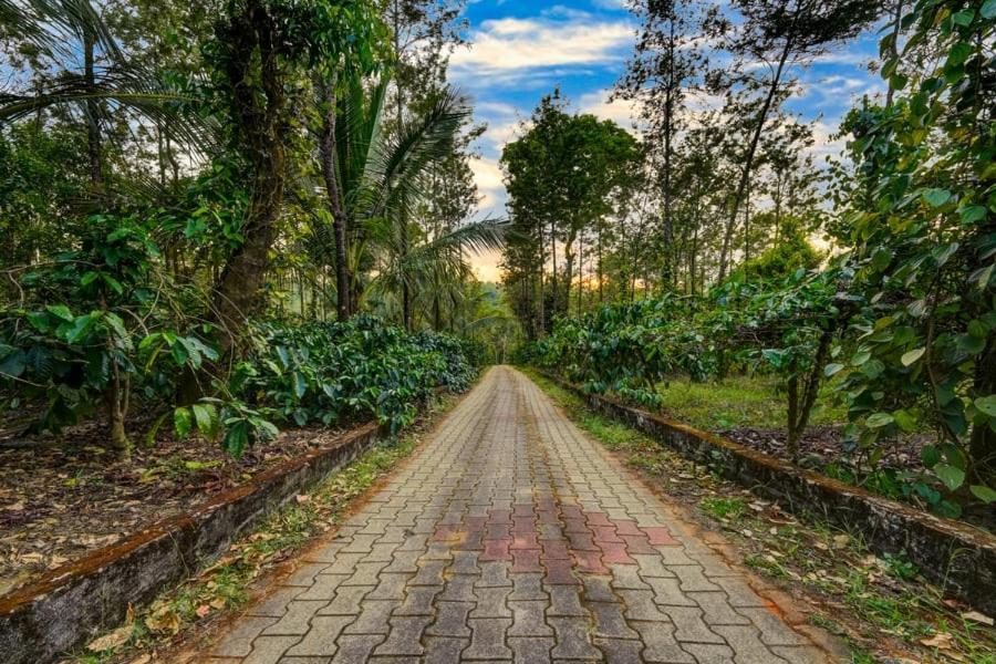 Coorg Bliss Estate Stay 마디케리 외부 사진