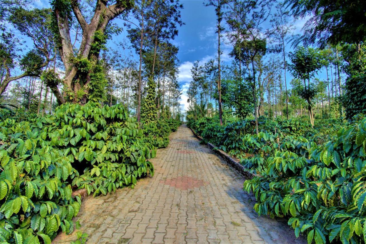 Coorg Bliss Estate Stay 마디케리 외부 사진