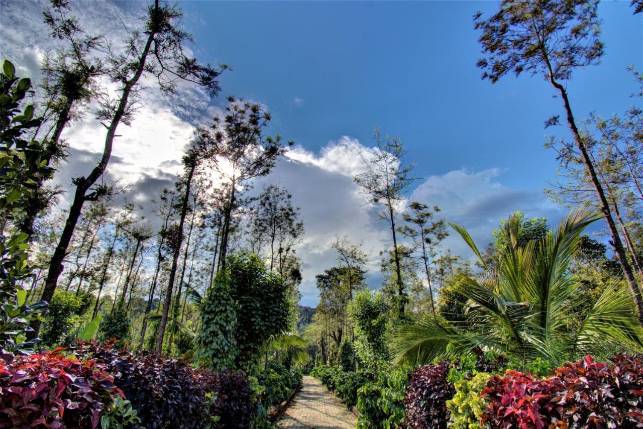Coorg Bliss Estate Stay 마디케리 외부 사진