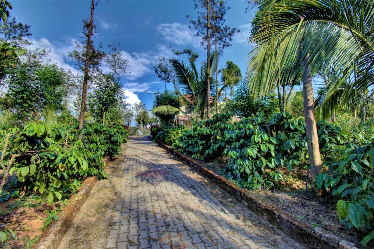 Coorg Bliss Estate Stay 마디케리 외부 사진